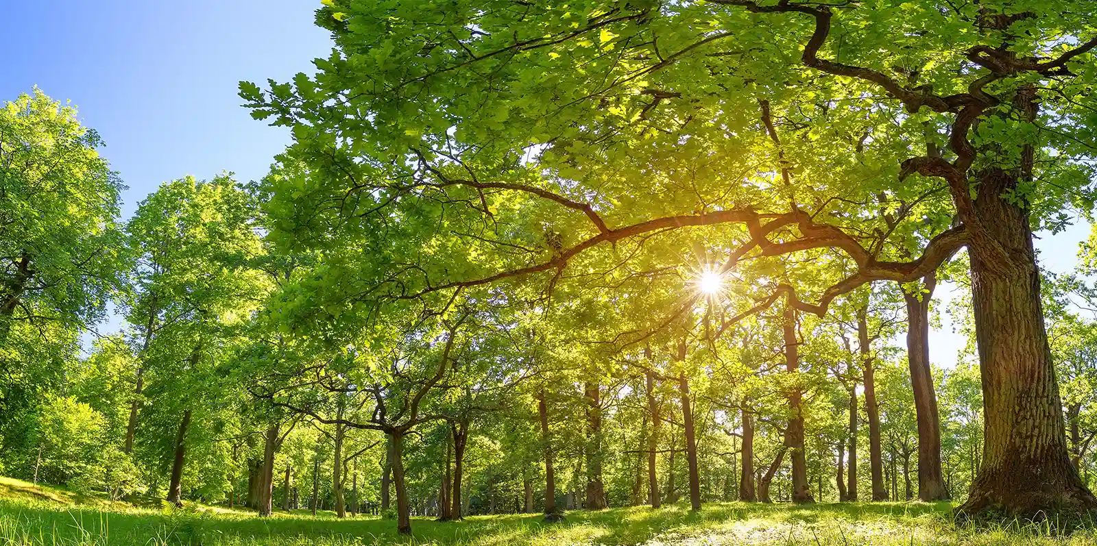 product-banner-ESG-3