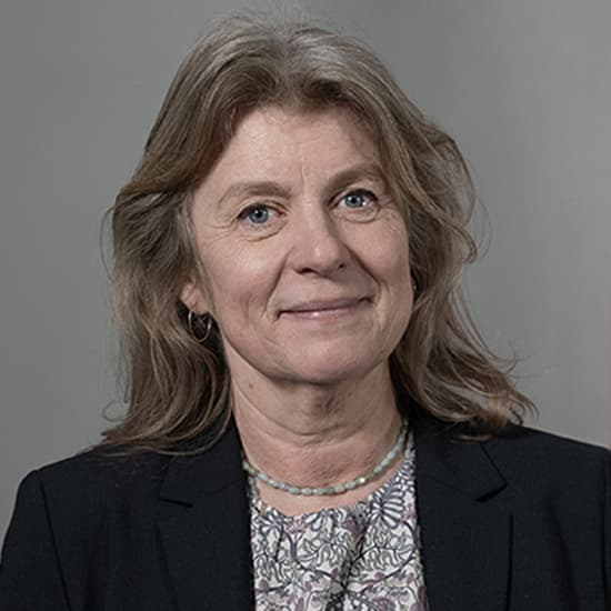 Kristine-Toldborg profil